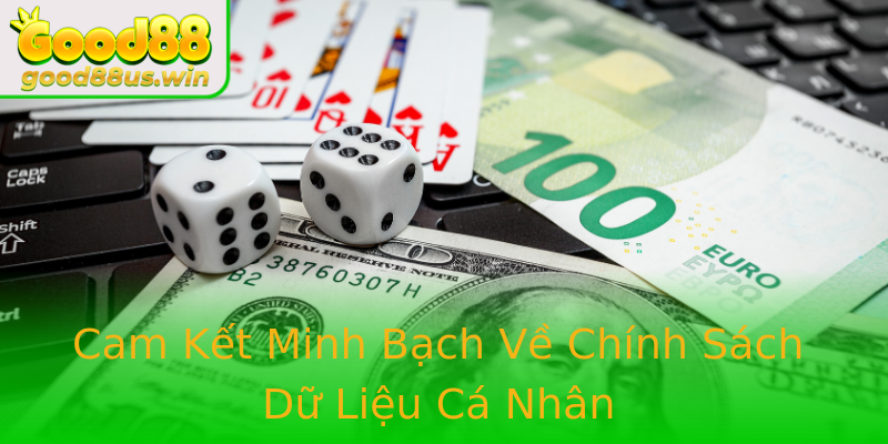 Cam Kết Minh Bạch Về Chính Sách Dữ Liệu Cá Nhân Cam Kết Minh Bạch Về Chính Sách Dữ Liệu Cá Nhân
