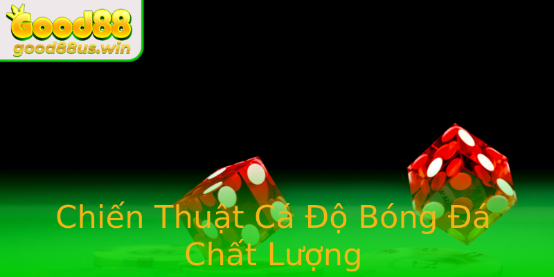 Chiến Thuật Cá Độ Bóng Đá Chất Lượng