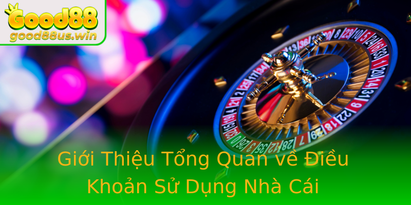 Giới Thiệu Tổng Quan về Điều Khoản Sử Dụng Nhà Cái Giới Thiệu Tổng Quan về Điều Khoản Sử Dụng Nhà Cái