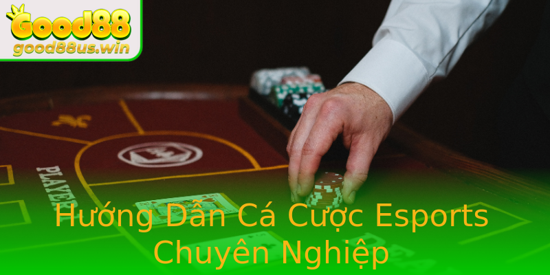 Hướng Dẫn Cá Cược Esports Chuyên Nghiệp Hướng Dẫn Cá Cược Esports Chuyên Nghiệp
