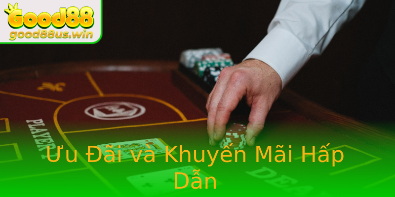 Ưu Đãi và Khuyến Mãi Hấp Dẫn Ưu Đãi và Khuyến Mãi Hấp Dẫn